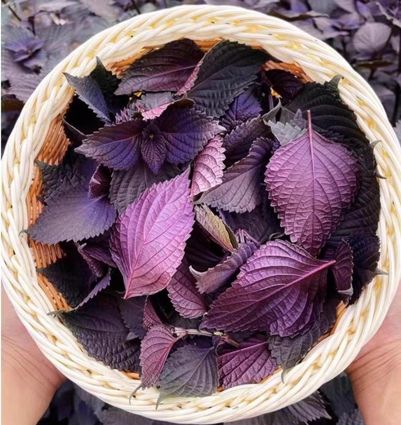 64 紫苏叶子能做的美食集锦