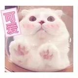 是屁甜
