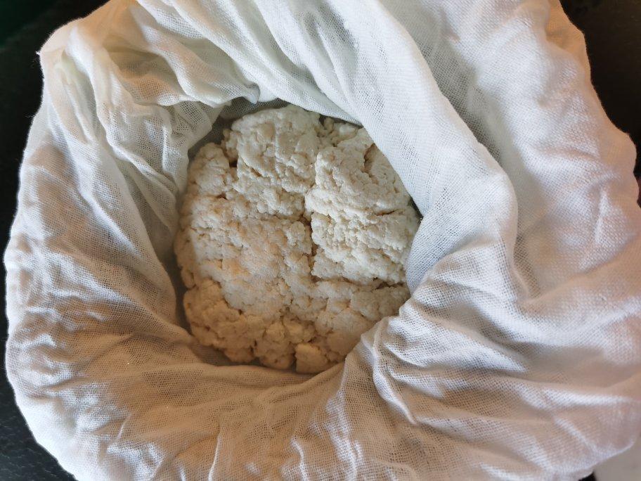 酸奶自制茅屋奶酪，乳清不酸不浪费！健身推荐，超简单