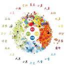 梦晓的菜谱