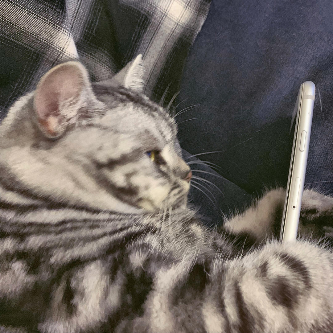 鬼信菜谱备忘录