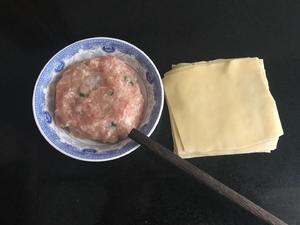 纯手工上海小馄饨的做法 步骤6