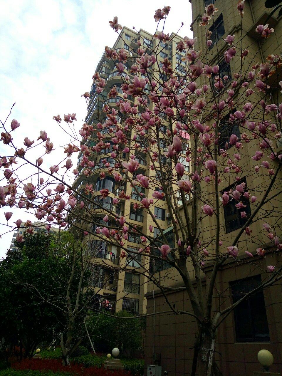 美好的记录