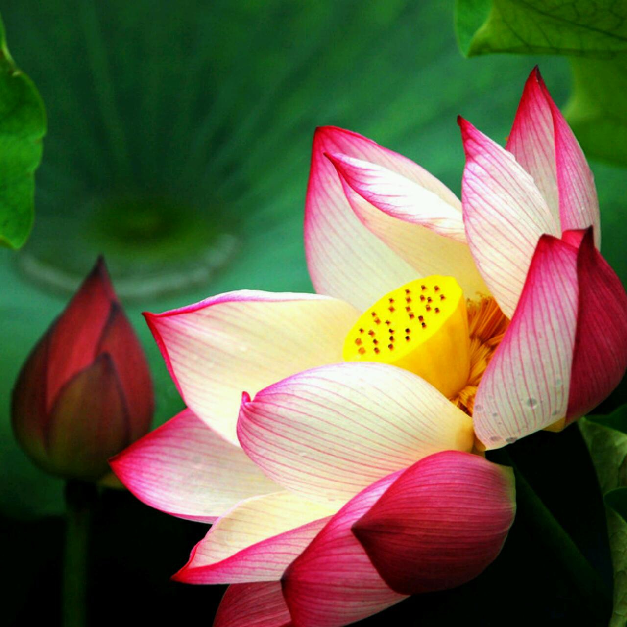 幸福就是甜蜜的味道