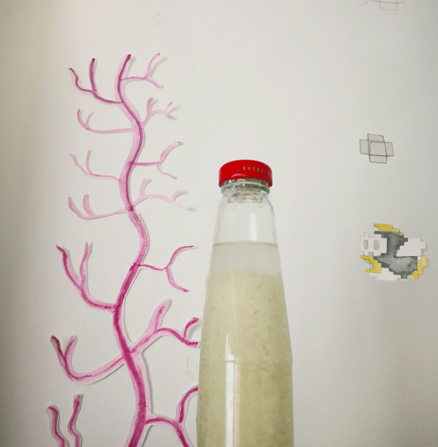 6分钟自制米酒【省事米酒最简易的打开方式】ヽ(•̀ω•́ )ゝ自制酒糟.醪糟.酒酿