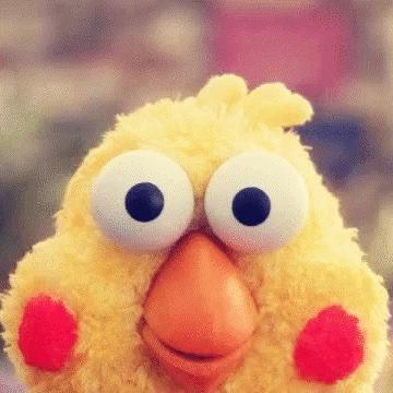 阿欢最爱向日葵___