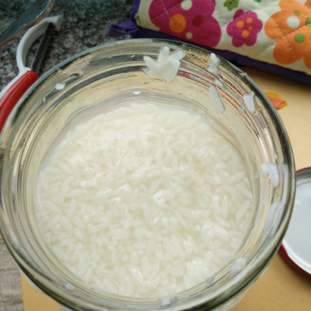 紫米酒酿（小熊酸奶机）
