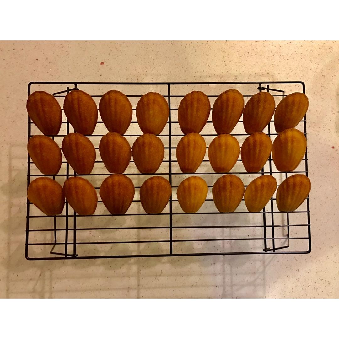 玛德琳（蓝带方）