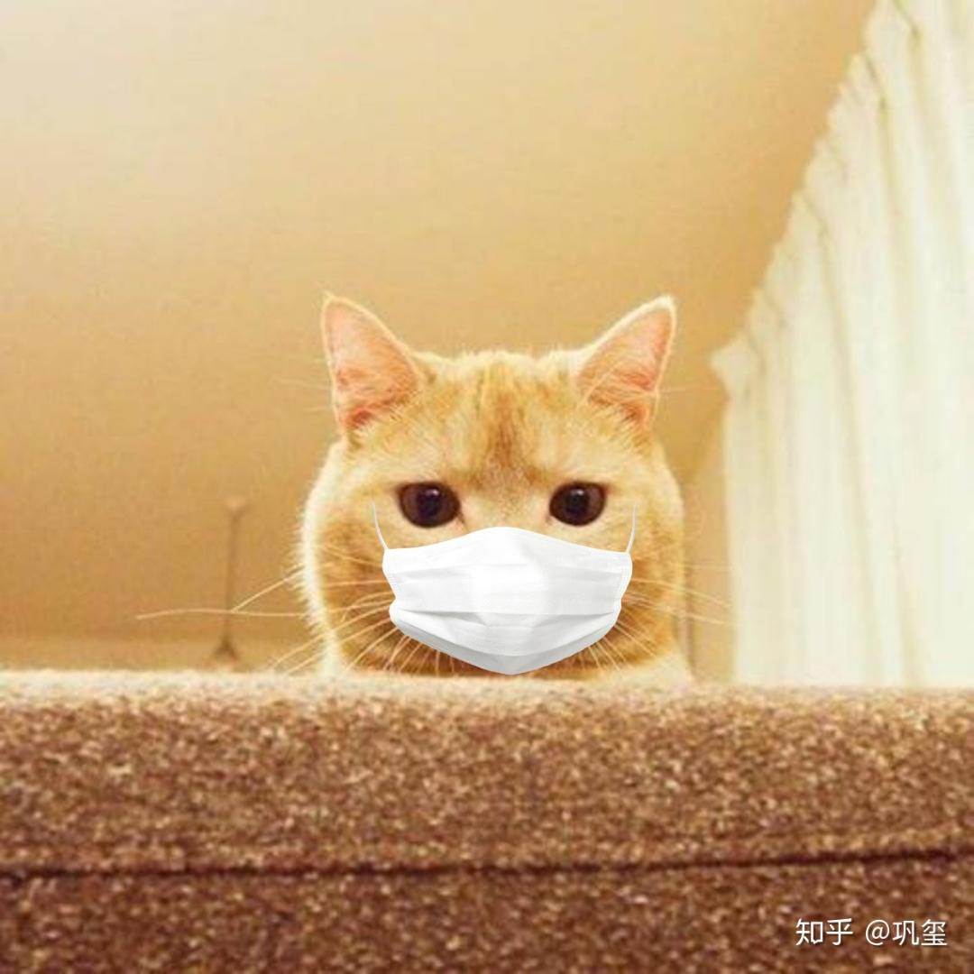 巧克力蛋糕万岁