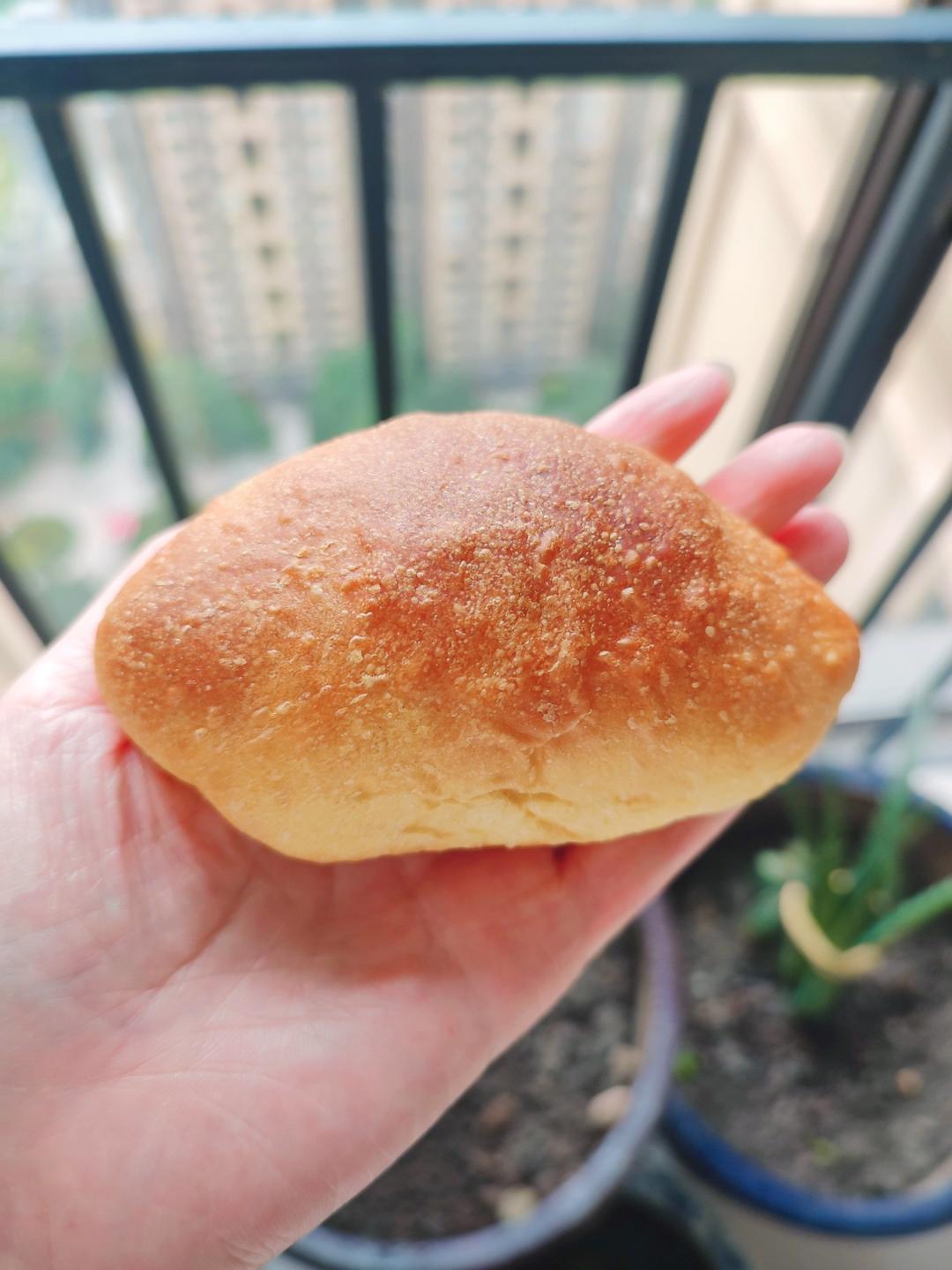 金大旺的胡萝卜小餐包