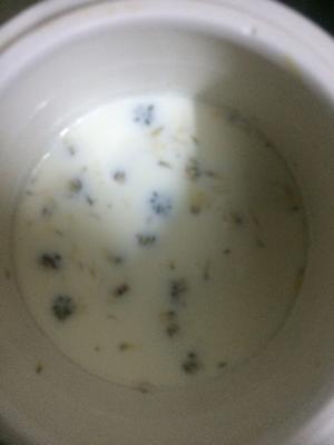 菊花白果炖牛奶的做法 步骤3