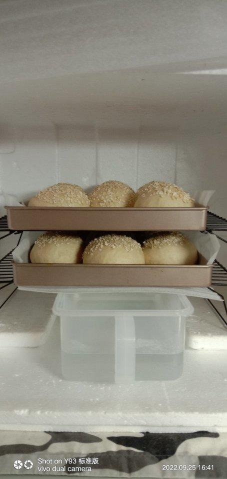 自制发酵箱（2022.9.25更新）