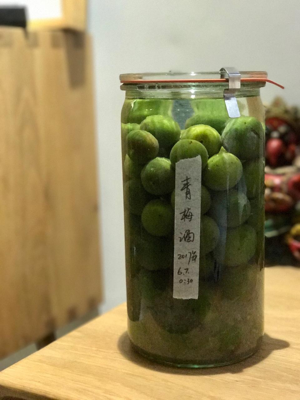 青梅酒（优的春日私酿第二話）