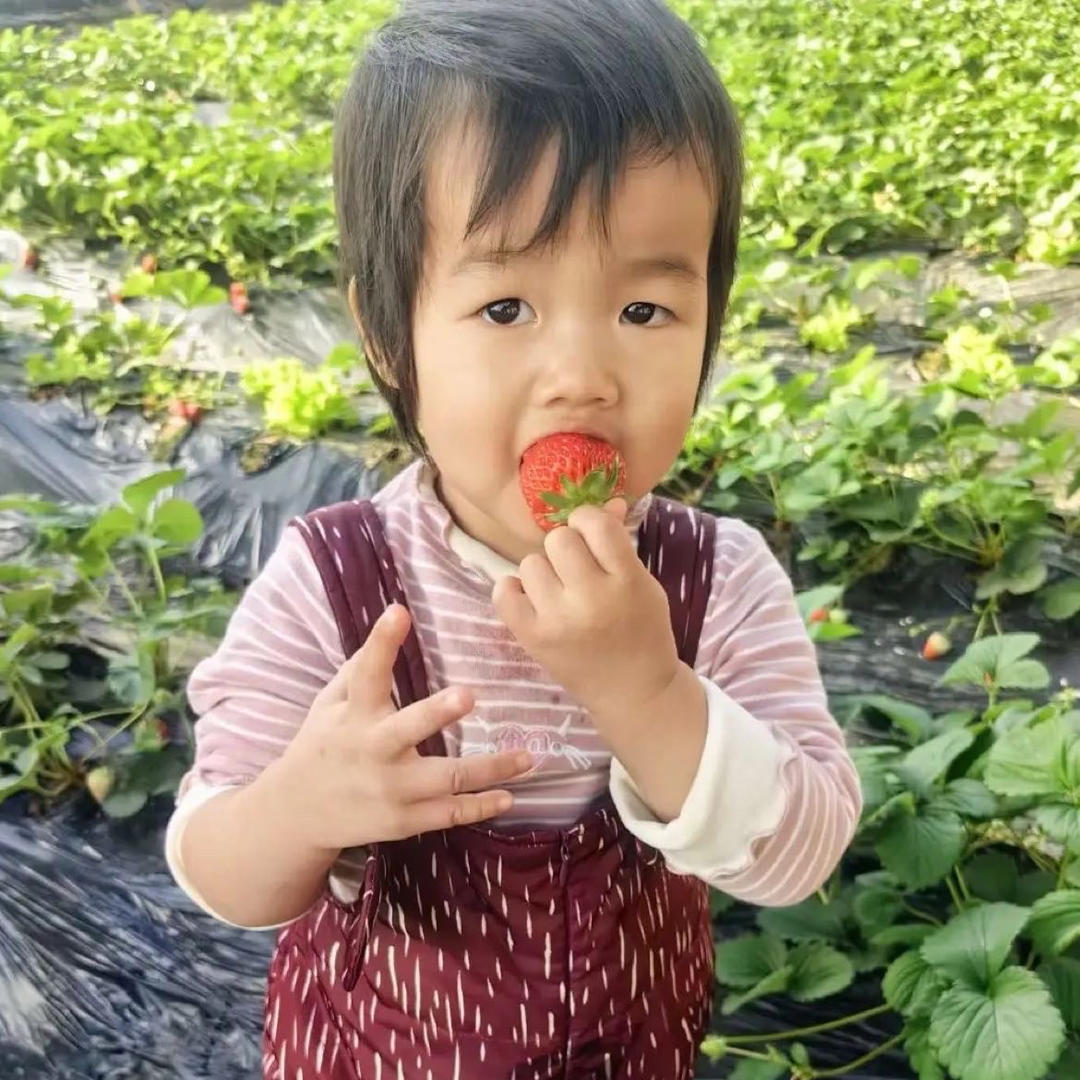 贾文龙2017小肉肉