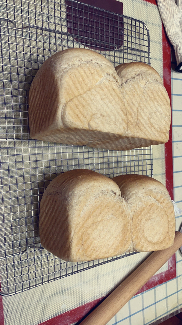 🍞全麦吐司直接法 （新良全麦面包粉）