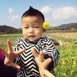 秋果的妈咪