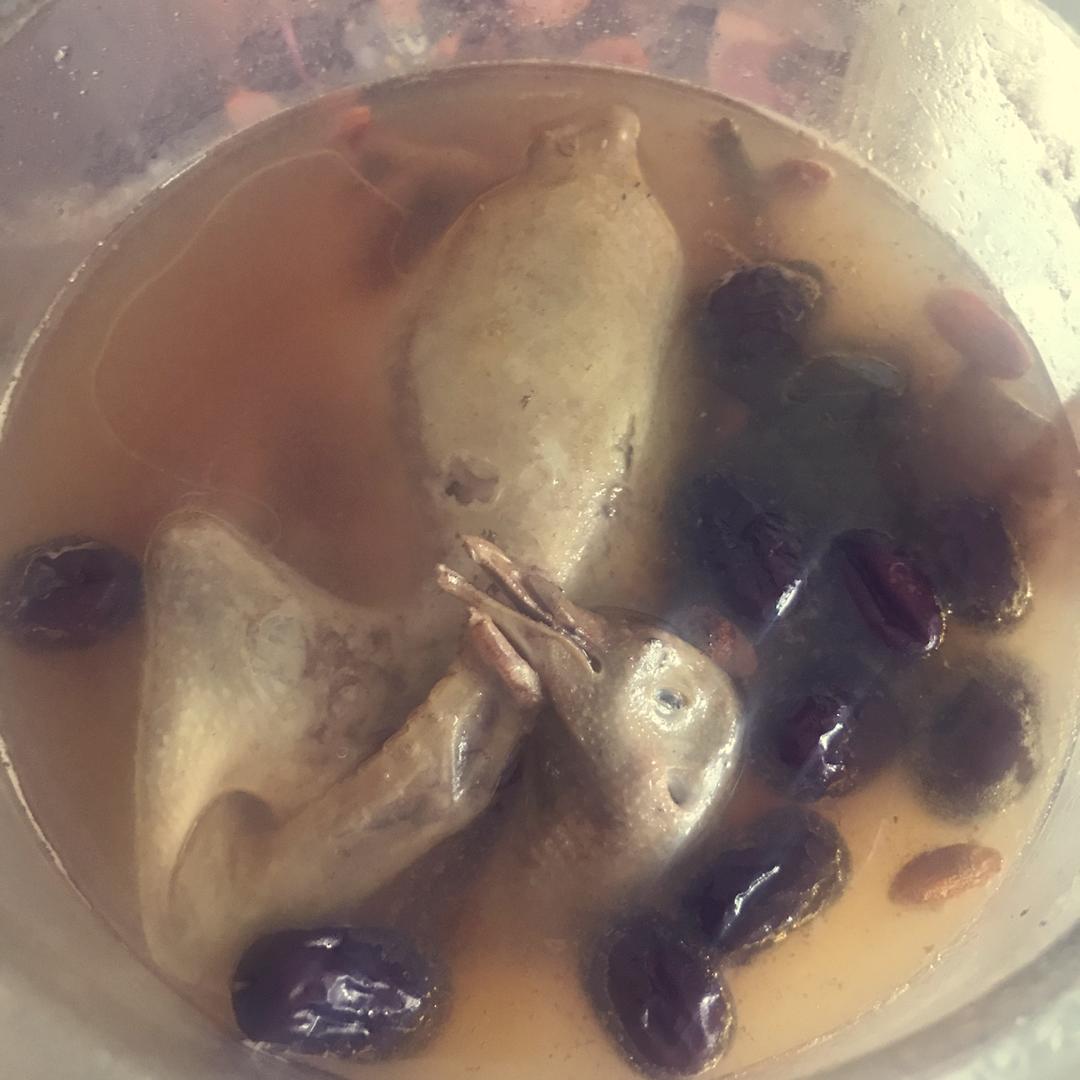 红枣枸杞乳鸽汤