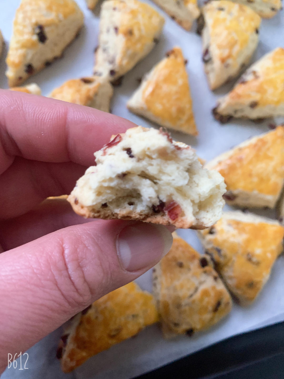 完美裂纹～百分百成功的超好吃奶香司康（禁止搬运）