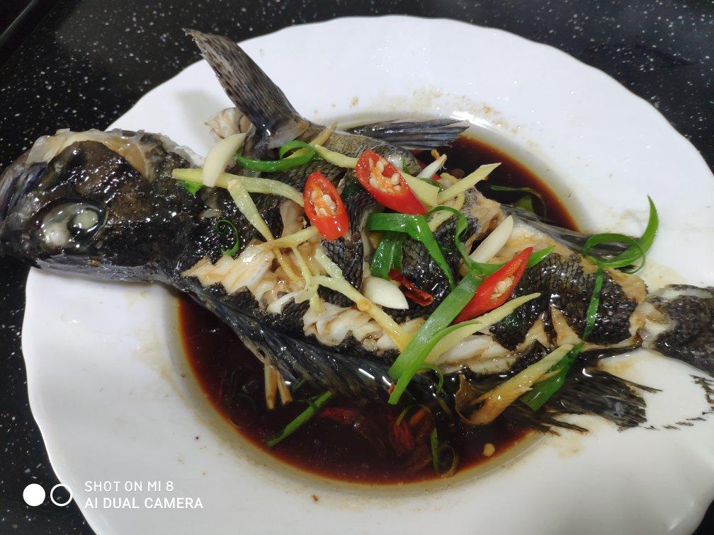 蒸 清蒸黑头鱼 陈陈sch做的清蒸黑头鱼2 赞 0 回