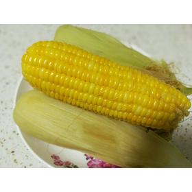 正确煮玉米的方法