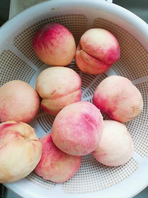 桃罐头～夏季消暑佳品的做法 步骤1