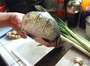 瑞粮美食汇 红烧鳊鱼详细教程，图文详解版的做法 步骤4