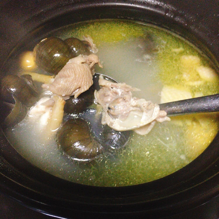 田螺煲鸡汤