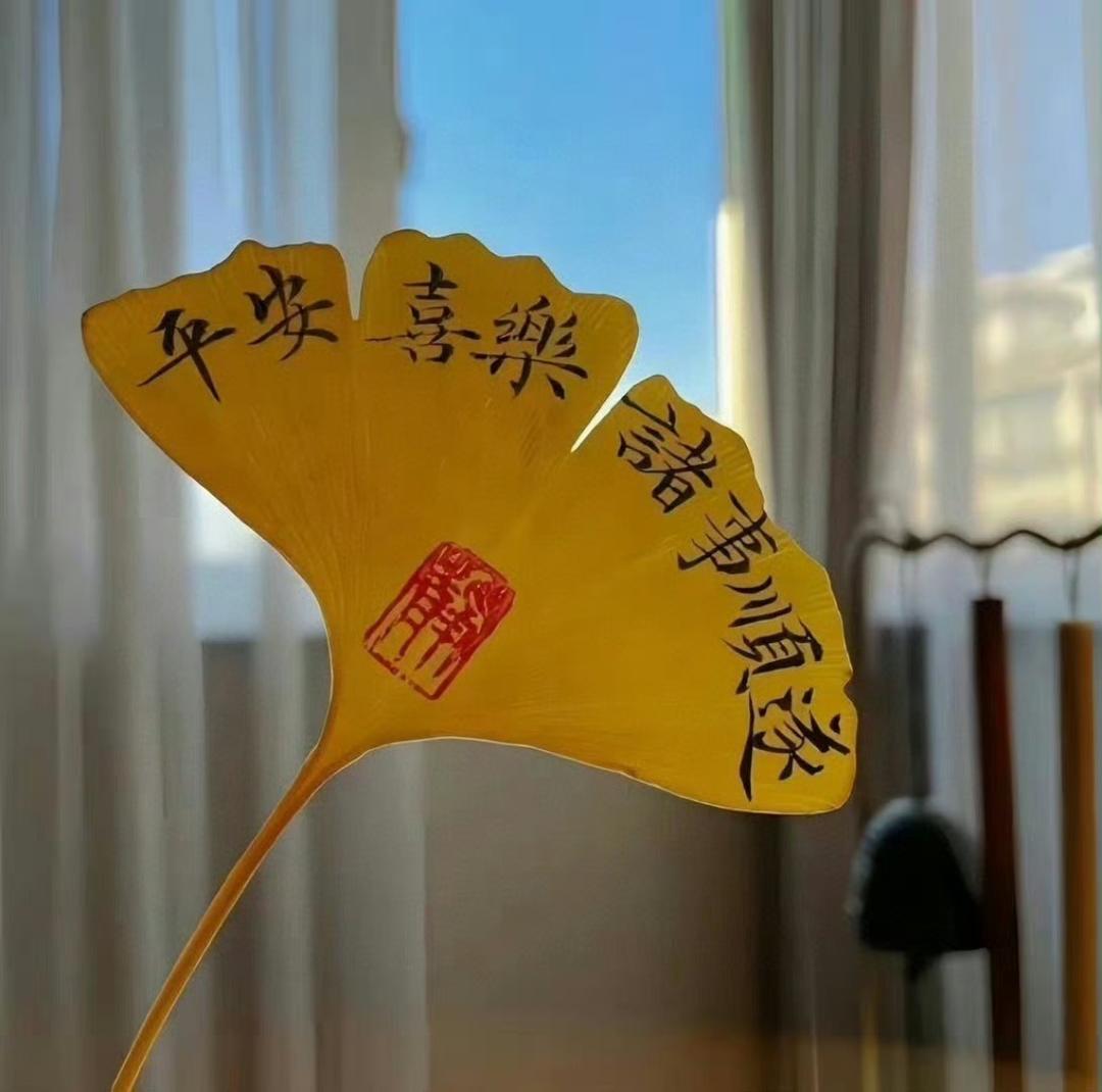 毛儿子的猴妈妈