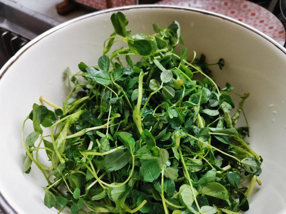 苜蓿麦饭