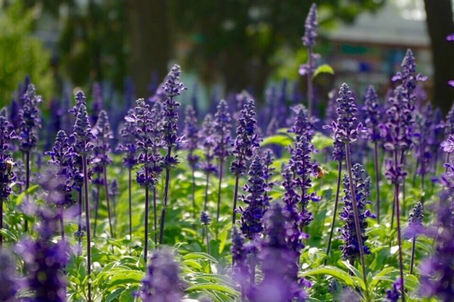 /love嬡◣约╩く