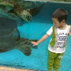 Baby Love