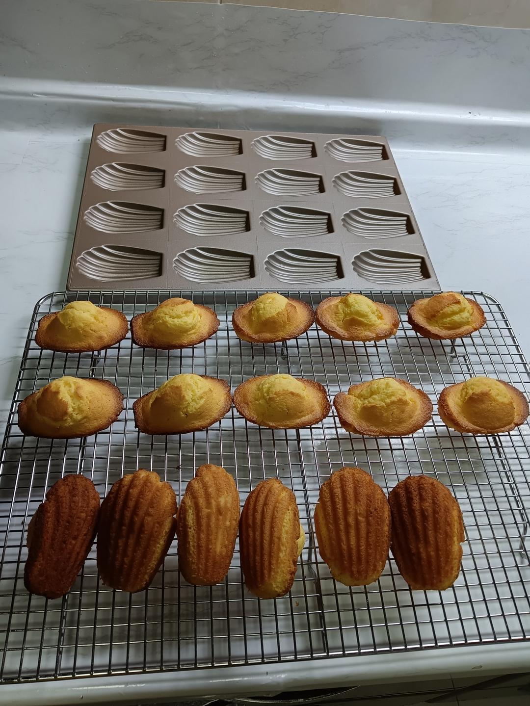 柑橘乌龙玛德琳