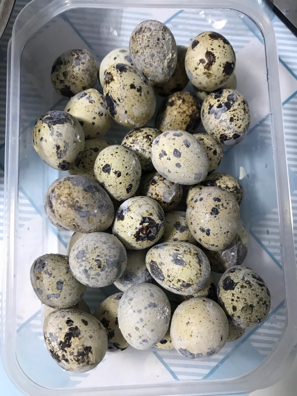 简易版盐焗鹌鹑蛋（电饭煲）