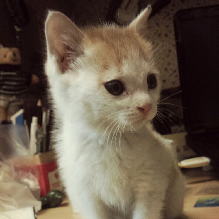 正能量的danny君丶