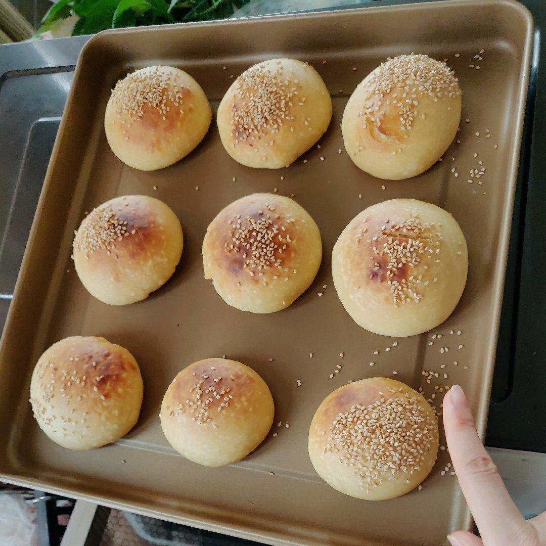汉堡胚 poolish（波兰种）