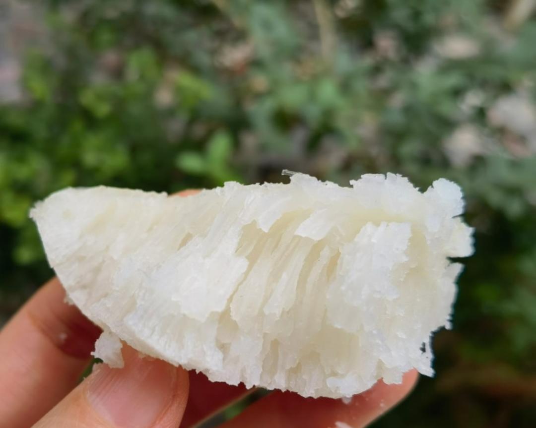 鲜甜松软白糖糕的做法
