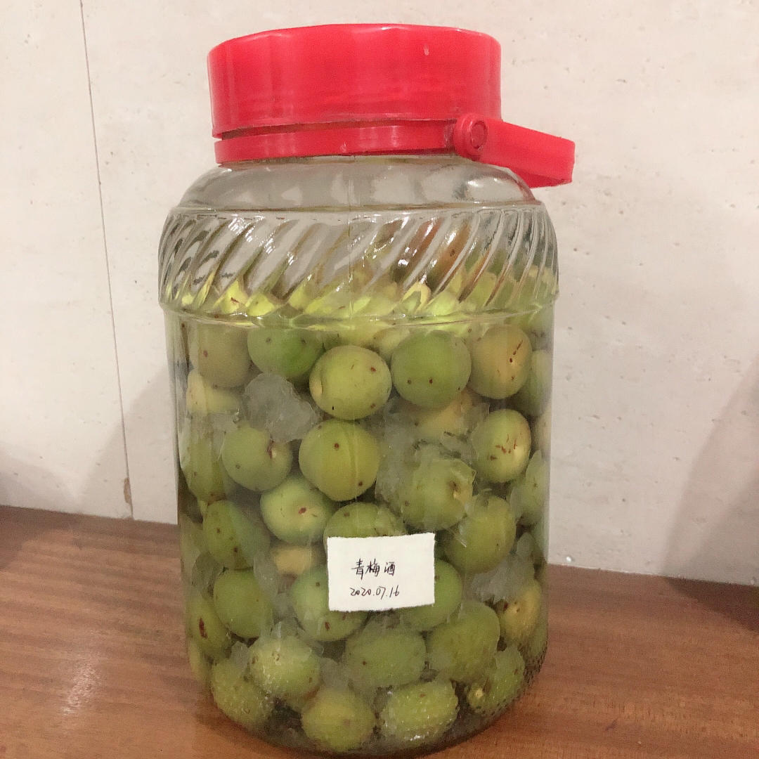 【青梅酒】梅子的沉醉时光（已填坑）