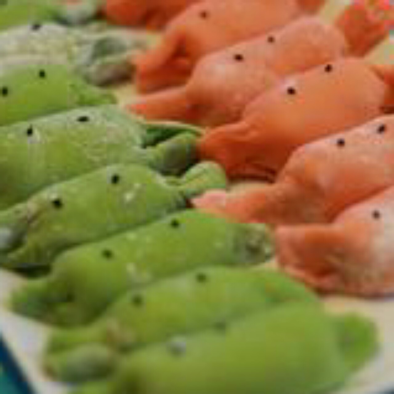 吉祥如意糖果饺