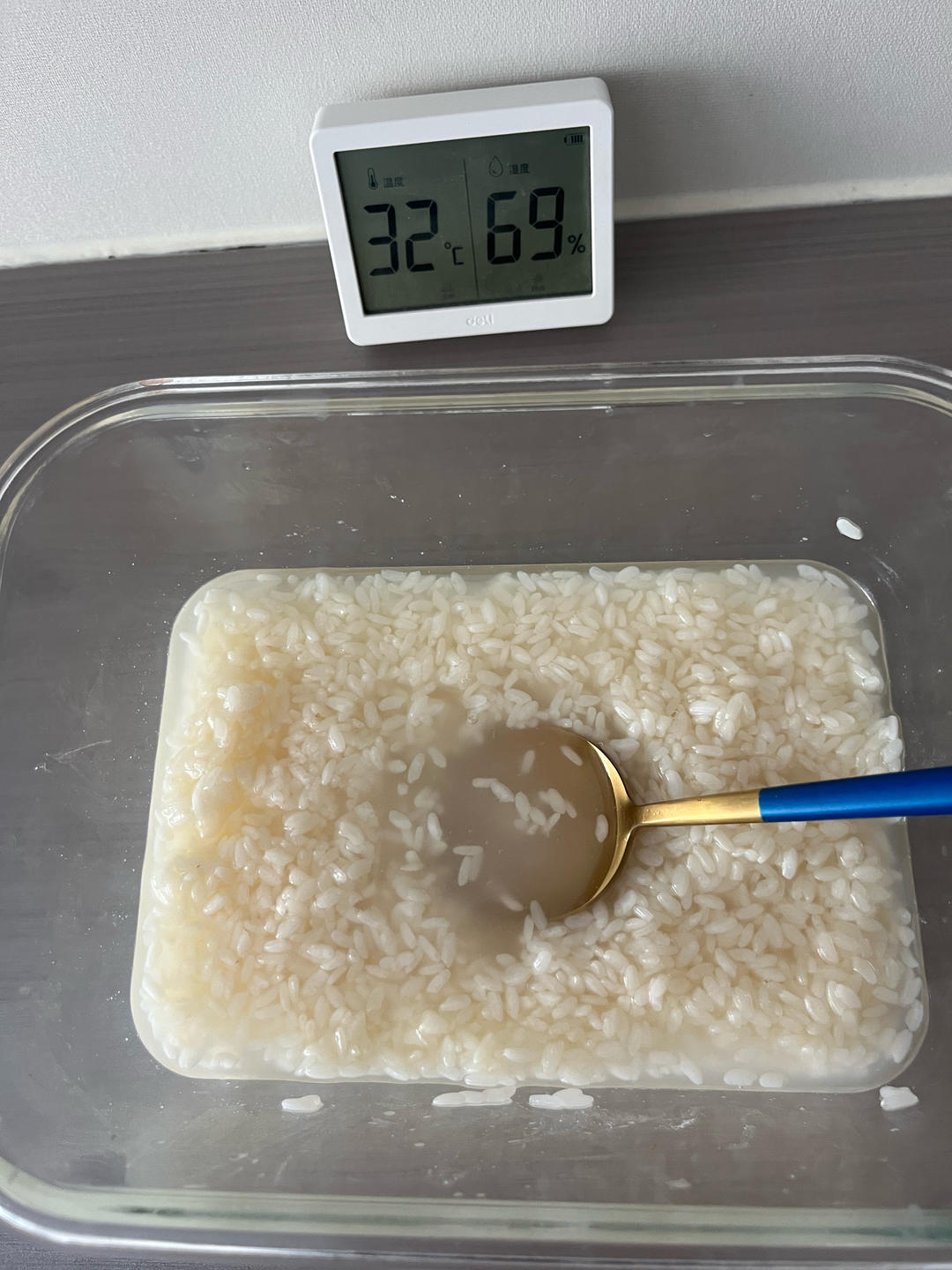 酒酿 (酒酿系列一）