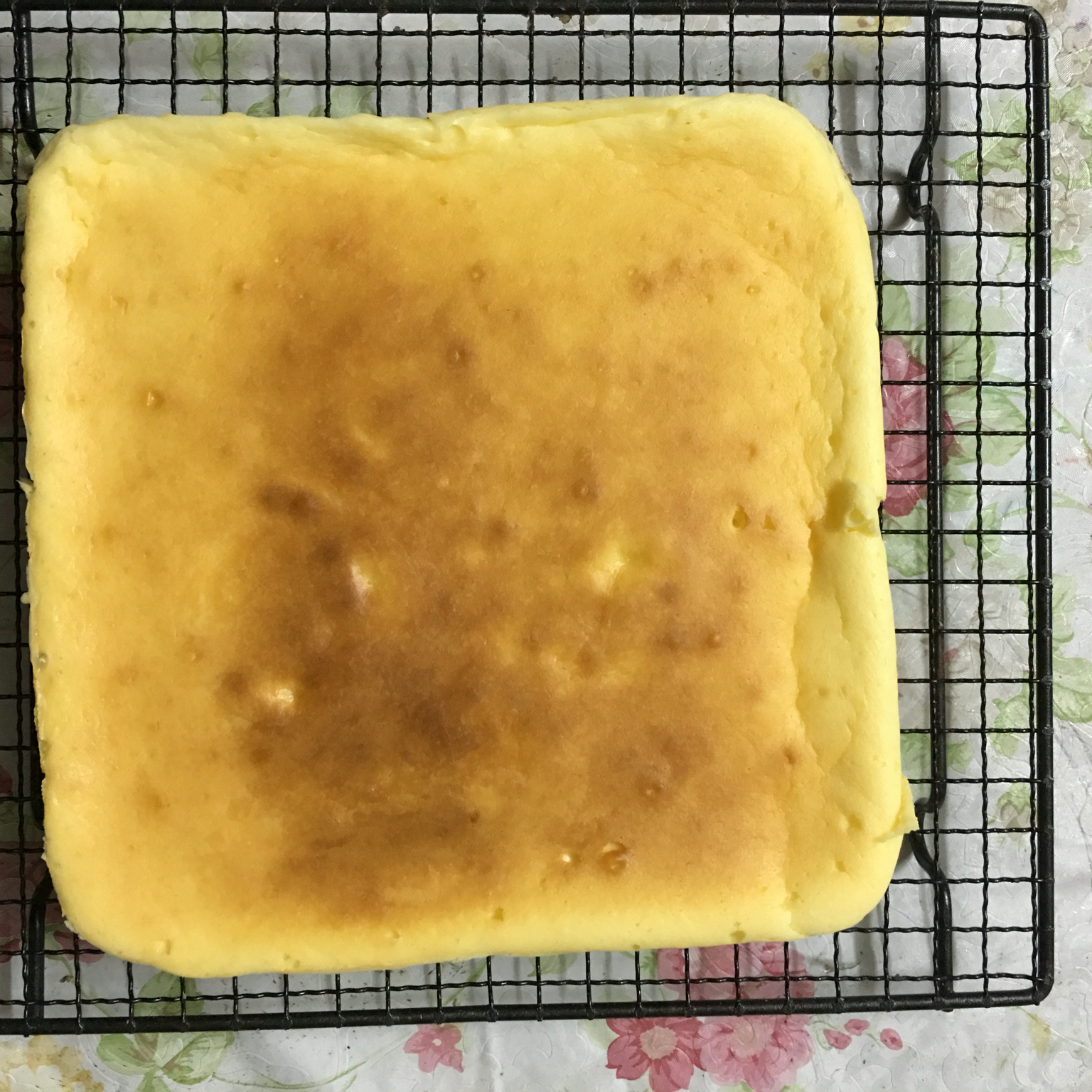 榴莲重芝士蛋糕