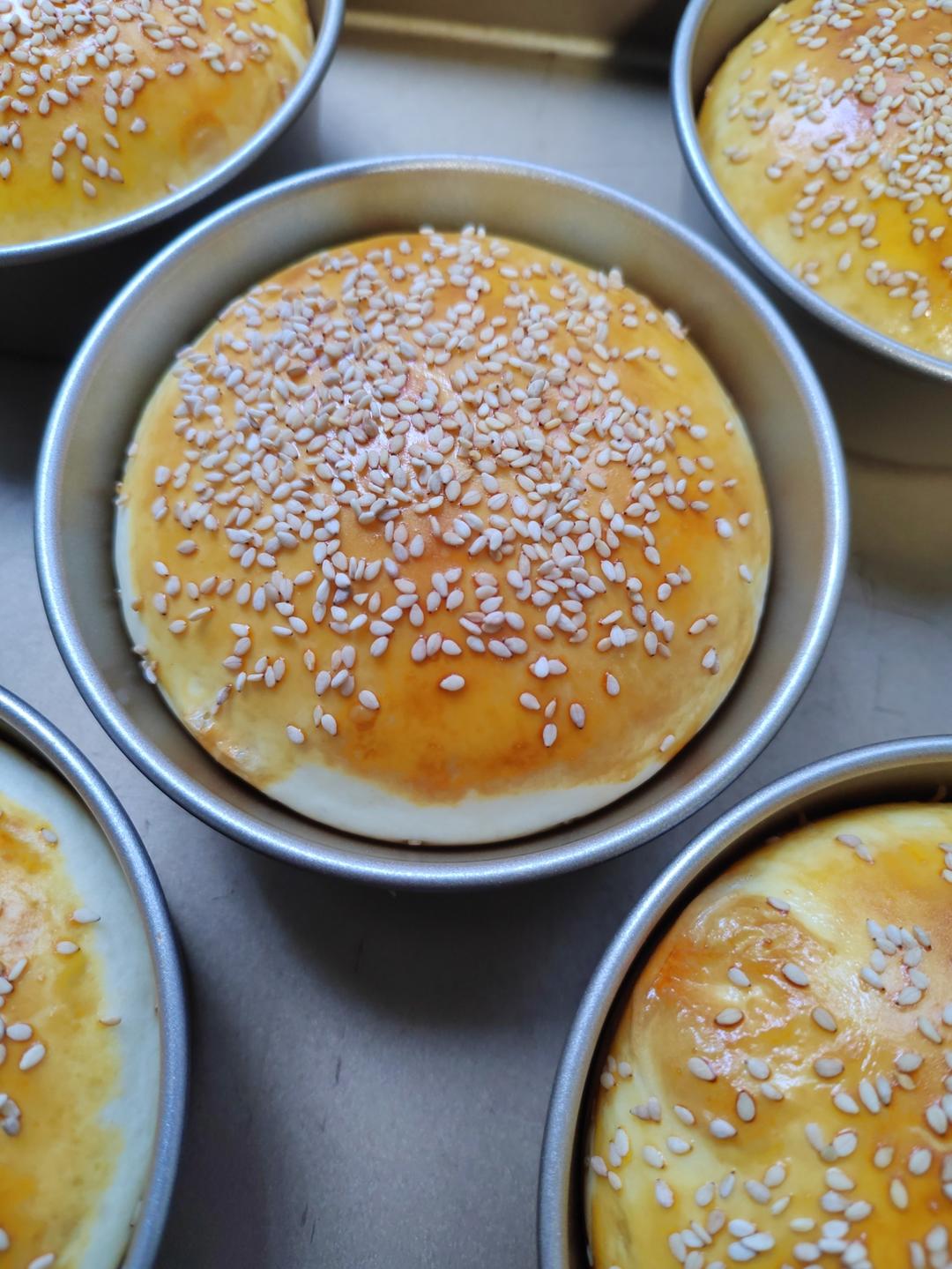 汉堡胚（中种法）