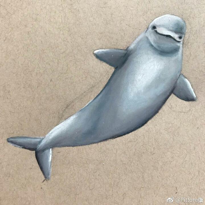 小路ooO