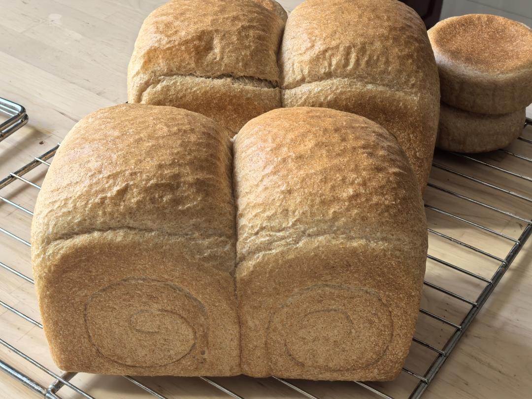 无油无糖纯全麦面包