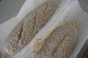 全麦黑麦欧式乡村面包（免揉）的做法 步骤11