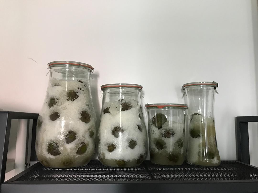 青梅汁/青梅糖浆/青梅酒