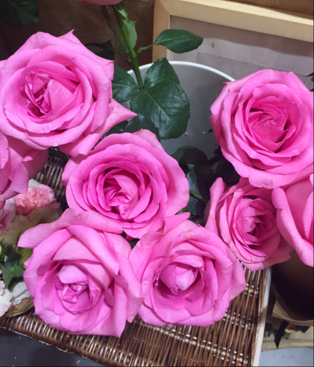 你的名字我的歡樂