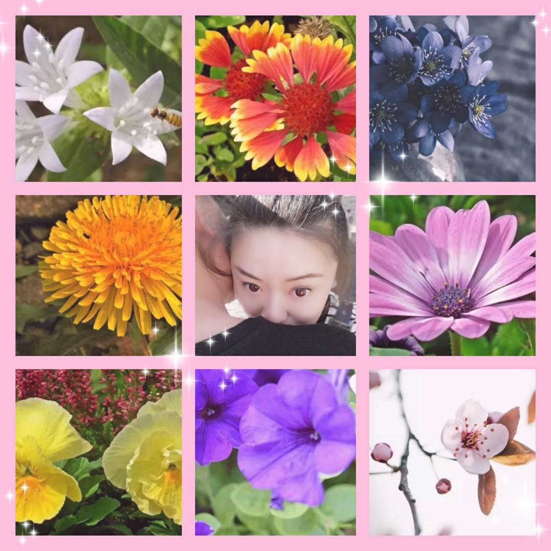 小茹殿下