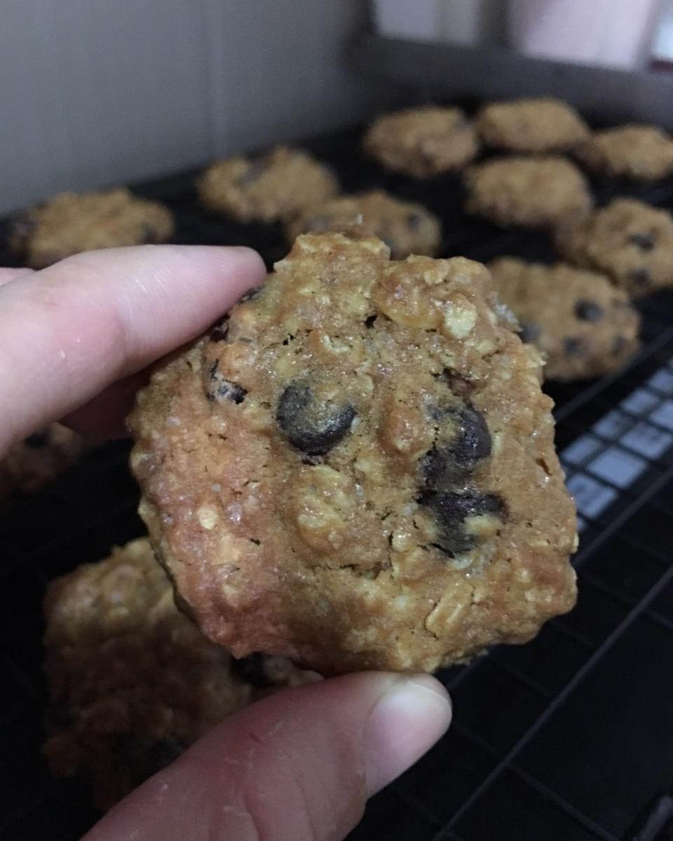 葡萄干麦片曲奇 Oats Cookies