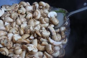 “鲜”美的简单快手菜——素炒鲜口蘑的做法 步骤9