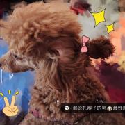 家里有个小坏蛋儿